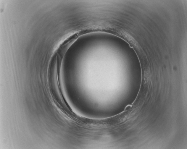 X0000059100722200510172119