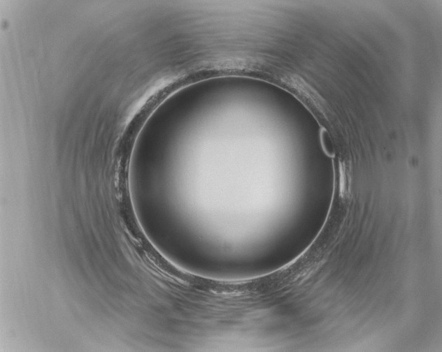 X0000059100723200510172119