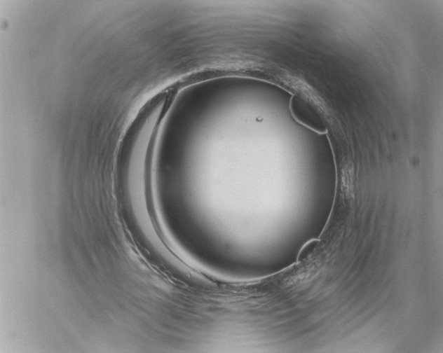 X0000059100724200510172119