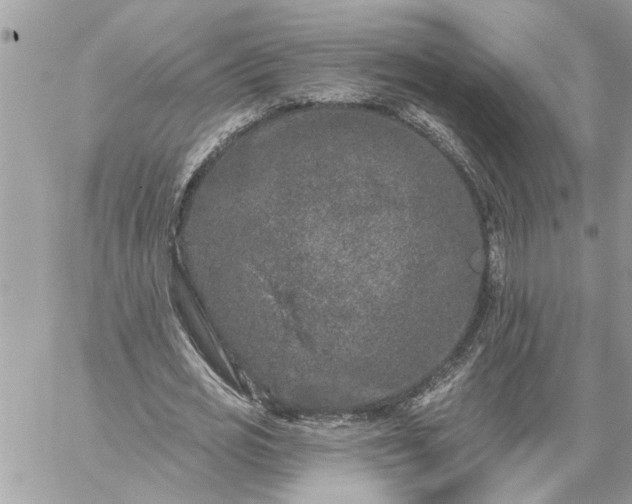 X0000059100725200510172119