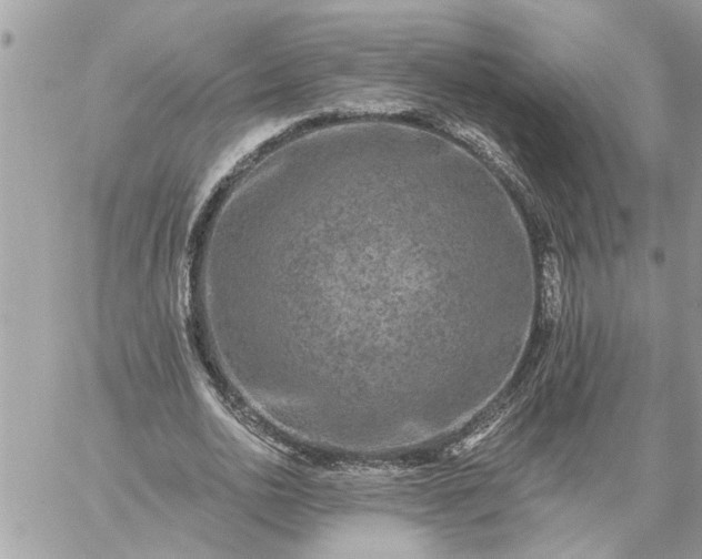 X0000059100726200510172119