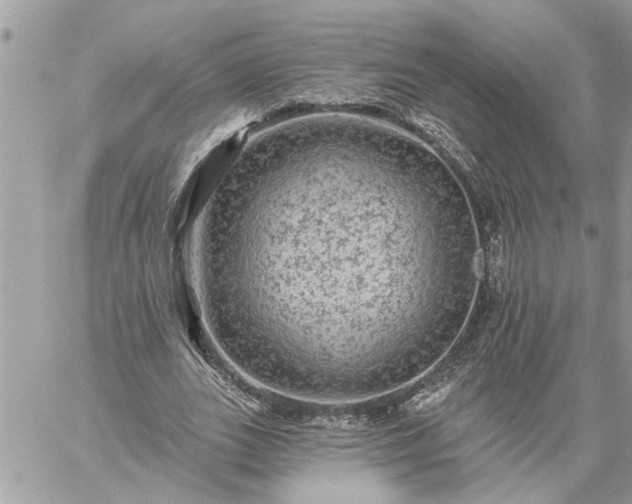 X0000059100727200510172119