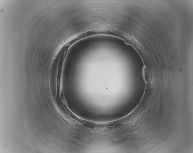 X0000059100728200510172119