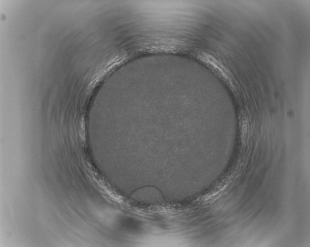 X0000059100729200510172119