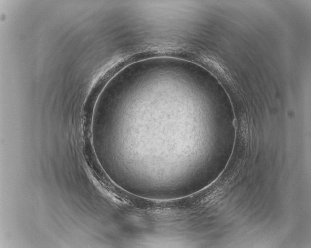 X0000059100730200510172119