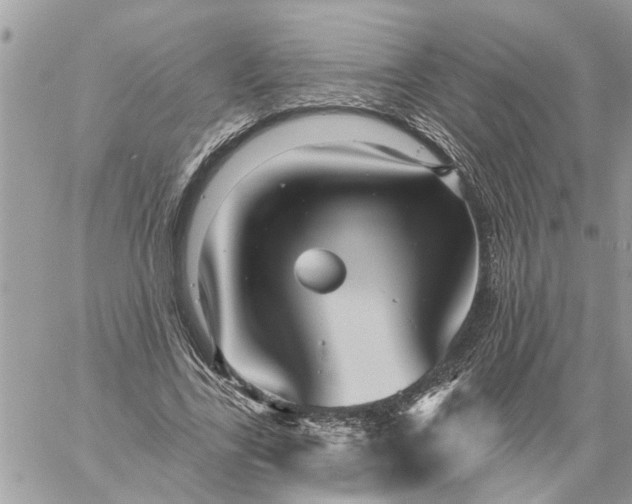 X0000059100731200510172119