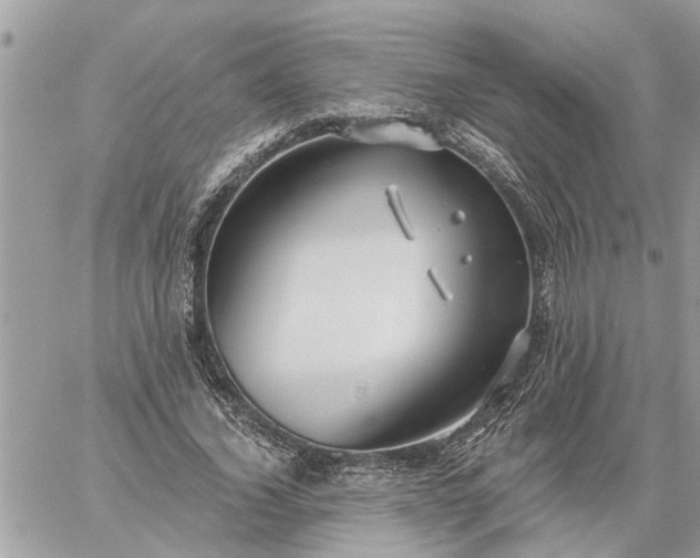 X0000059100732200510172119