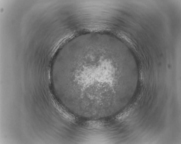 X0000059100733200510172119