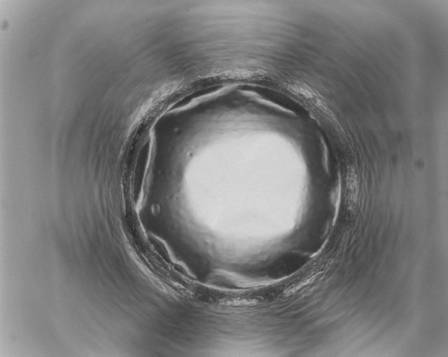 X0000059100734200510172119