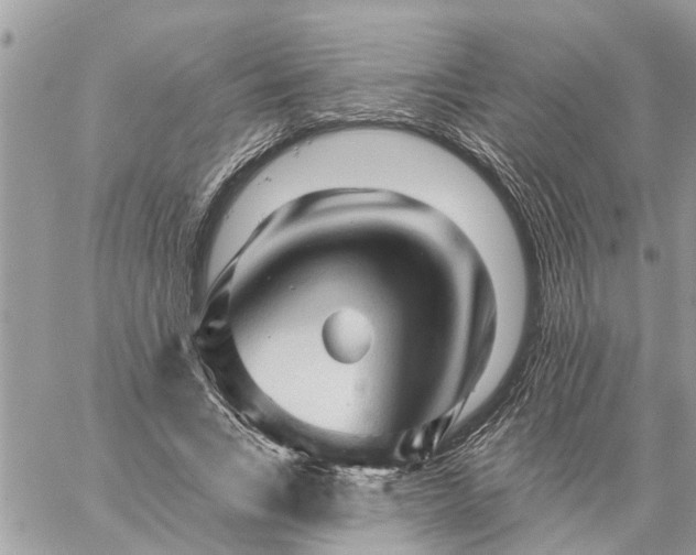 X0000059100735200510172119