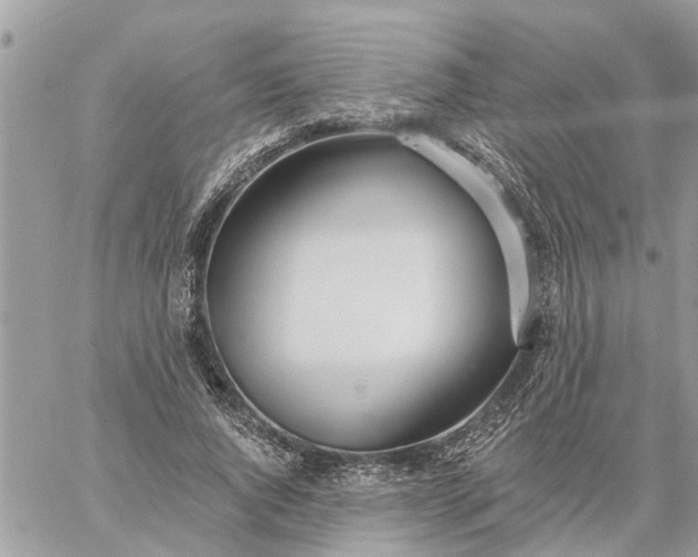 X0000059100736200510172119