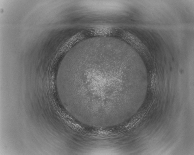 X0000059100737200510172119