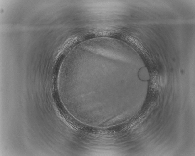 X0000059100738200510172119