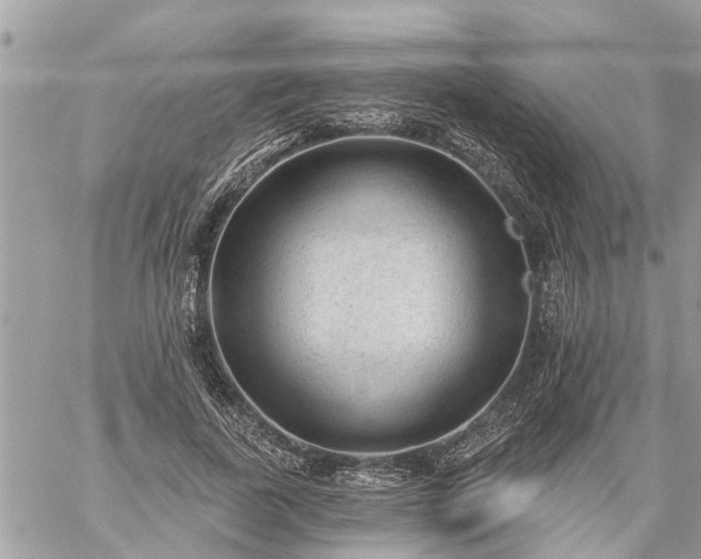 X0000059100739200510172119