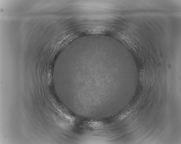 X0000059100741200510172119