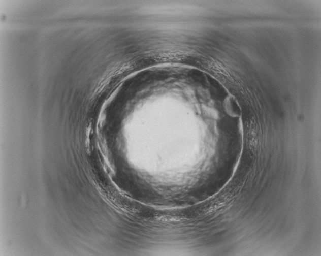 X0000059100742200510172119