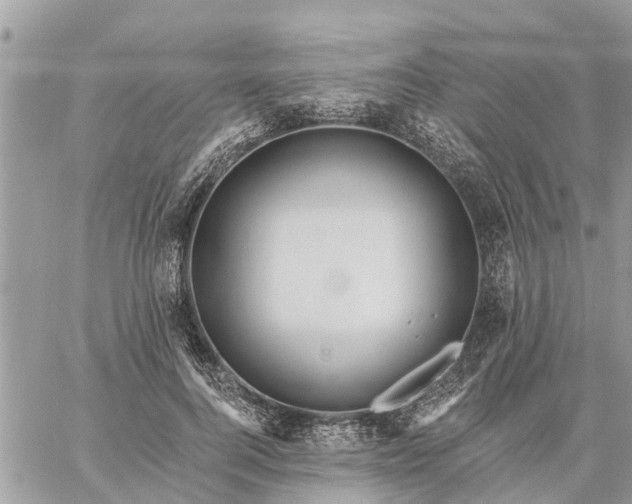 X0000059100744200510172119