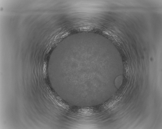 X0000059100745200510172119