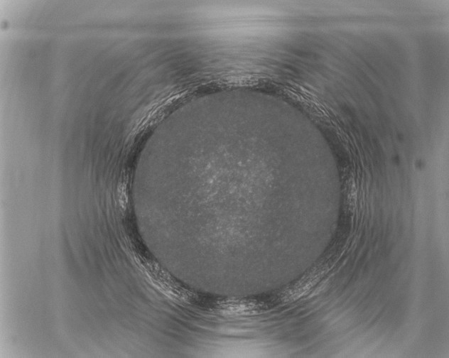 X0000059100746200510172119