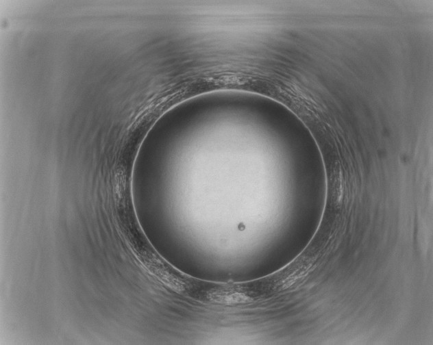 X0000059100747200510172119