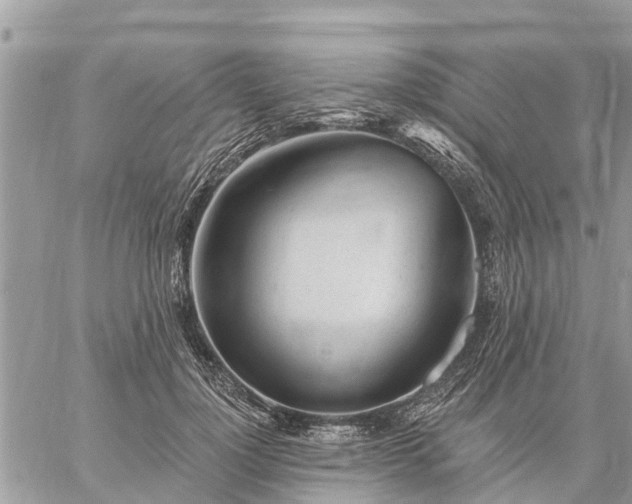 X0000059100748200510172119