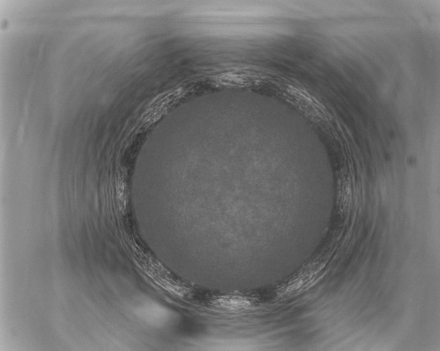 X0000059100749200510172119