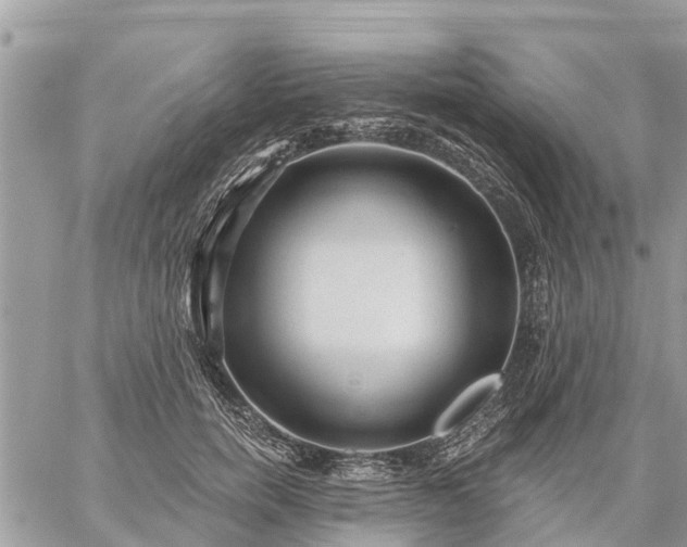 X0000059100750200510172119