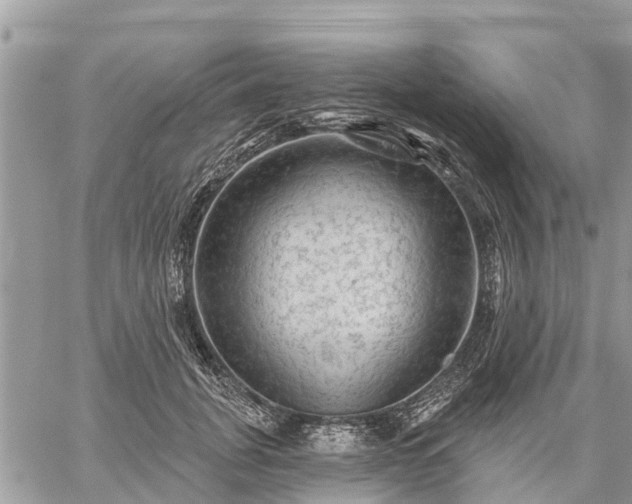 X0000059100751200510172119