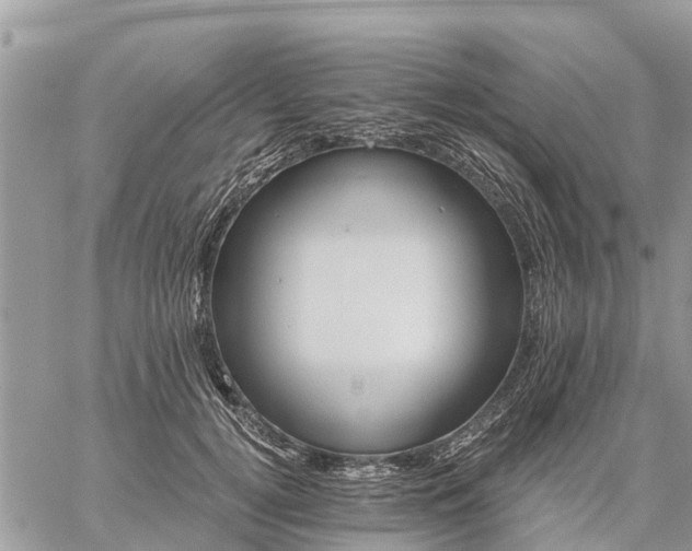 X0000059100752200510172119