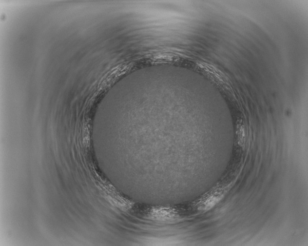 X0000059100753200510172119