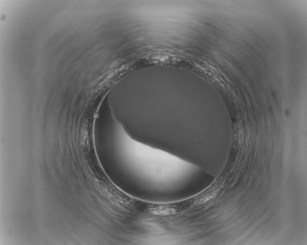 X0000059100754200510172119