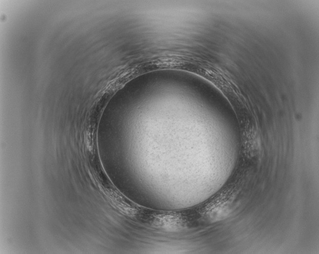 X0000059100755200510172119