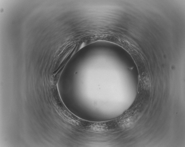 X0000059100756200510172119