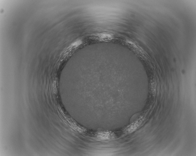 X0000059100757200510172119