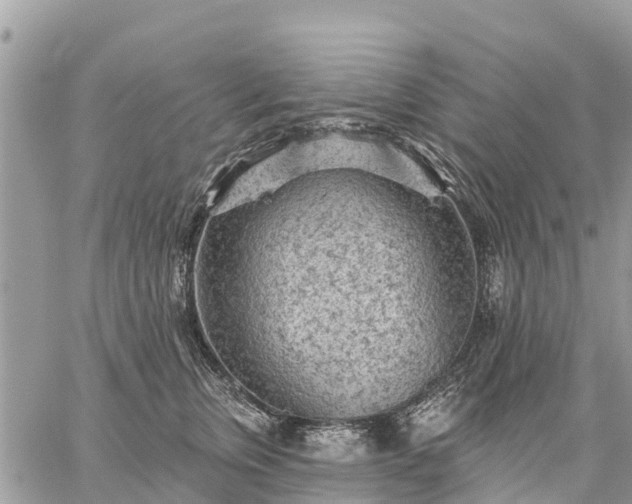 X0000059100759200510172120