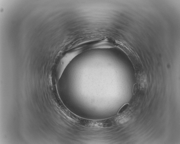 X0000059100760200510172120