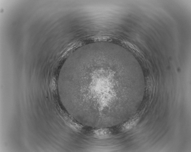 X0000059100761200510172120