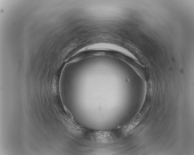 X0000059100762200510172120