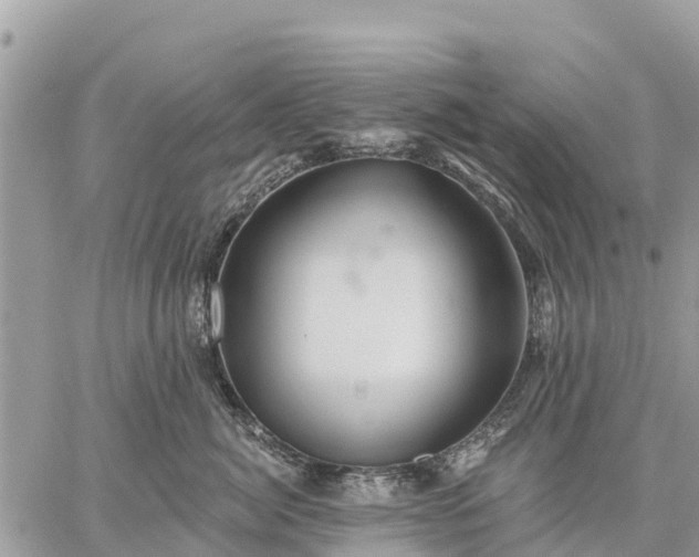 X0000059100764200510172120