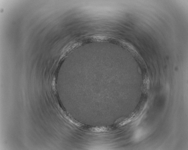 X0000059100765200510172120