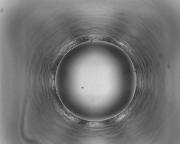 X0000059100766200510172120