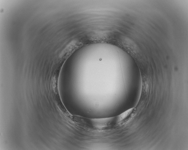 X0000059100767200510172120