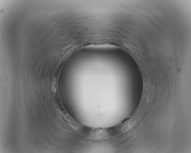 X0000059100768200510172120