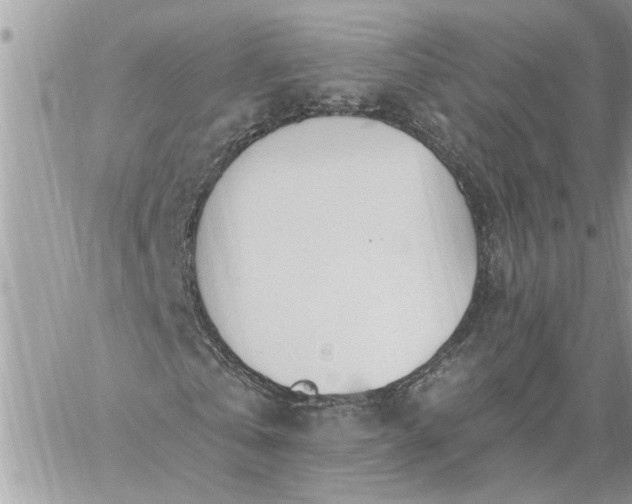 X0000059100769200510172119