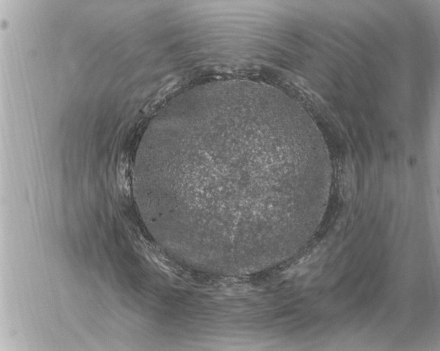 X0000059100770200510172119