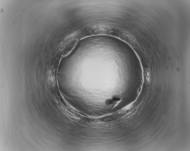 X0000059100771200510172119