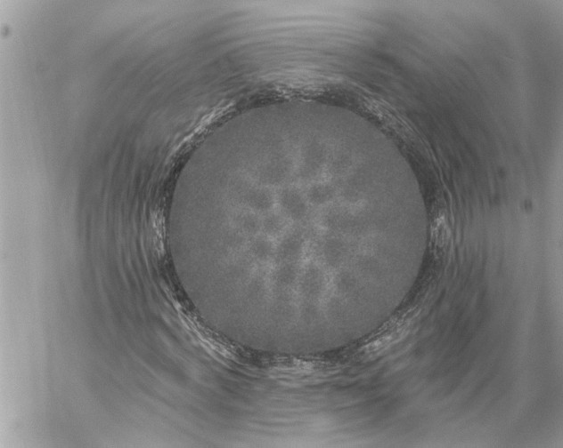 X0000059100772200510172119