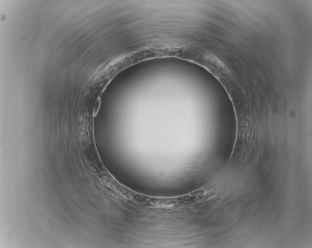 X0000059100773200510172119