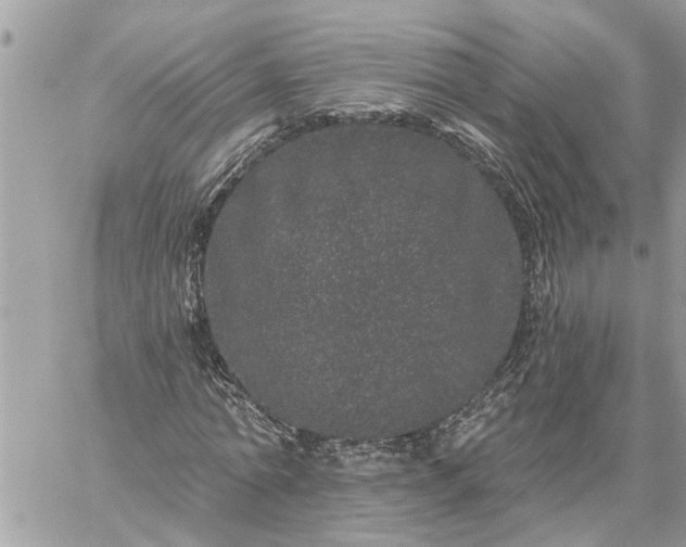 X0000059100774200510172119