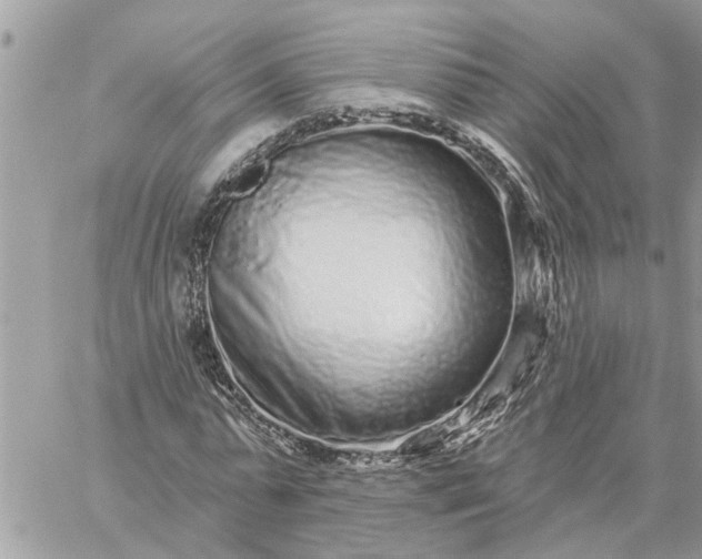 X0000059100775200510172119